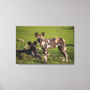 Search for dog canvas prints Animals