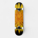 Search for dandelion skateboards Flower