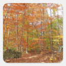 Search for sunlight stickers Nature