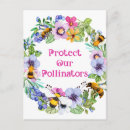 Search for pollinators postcards Insects