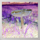 Search for exposed posters Photography