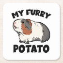 Search for pig coasters Funny