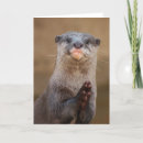 Search for otter cards Brown