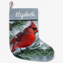 Search for cardinal christmas stockings Bird