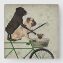 Search for bicycle clocks Dogs on bicycles