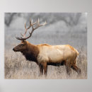Search for scottish wildlife art Scotland