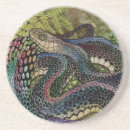 Search for snake skin coasters Reptile