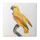 Search for parrot tiles Yellow