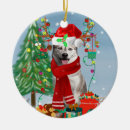 Search for husky christmas tree decorations Dog
