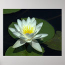 Search for raw posters Photography