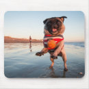 Search for pet pug electronics Cute