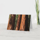 Search for sequoia cards Yosemite