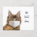 Search for maine coon cards Animal