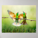 Search for birds bees posters Cute