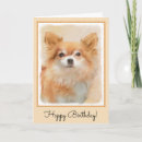 Search for longhair cards Chihuahua