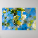 Search for beautiful blossom posters Flower