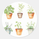 Search for herb stickers Green