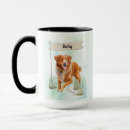 Search for tollers mugs Nova