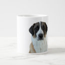 Search for anatolian mugs Kangal