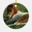 Search for miniature horse christmas tree decorations Bob langrish