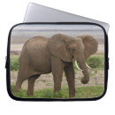 Search for eating cases Mammal