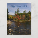 Search for swift New hampshire