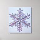 Search for ice crystal art Cold