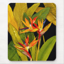 Search for bird mouse mats Floral