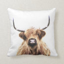 Search for scottish highland cow decor Calf