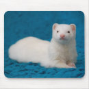 Search for weasel mouse mats Pets