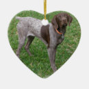 Search for german shorthaired pointer christmas tree decorations Pointers
