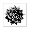 Search for plant rubber stamps Desert