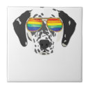 Search for diversity tiles Bisexual