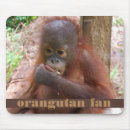 Search for borneo mouse mats Wildlife