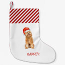 Search for golden doodle christmas stockings For pets