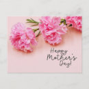 Search for flowering mums postcards Flowers