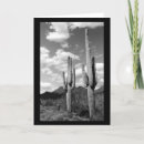 Search for sonoran cards Desert