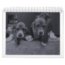 Search for hound calendars Basset
