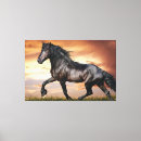 Search for black horse canvas prints Horses