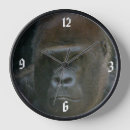 Search for silverback gorilla clocks Animal