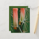 Search for alo postcards Photography