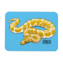 Search for python magnets Snake