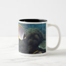 Search for school of fish mugs Animal
