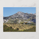 Search for cropped postcards Scene