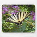 Search for swallowtail mouse mats Insect
