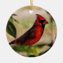 Search for sale christmas tree decorations Red
