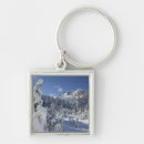Search for alpine key rings Winter