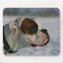 Search for bob mouse mats Dog