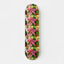 Search for lilie skateboards Tropical