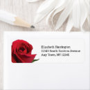 Search for rose return photography Red